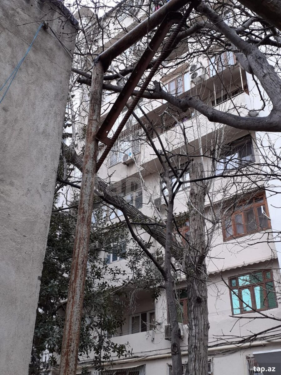 Dəmir borular (4)