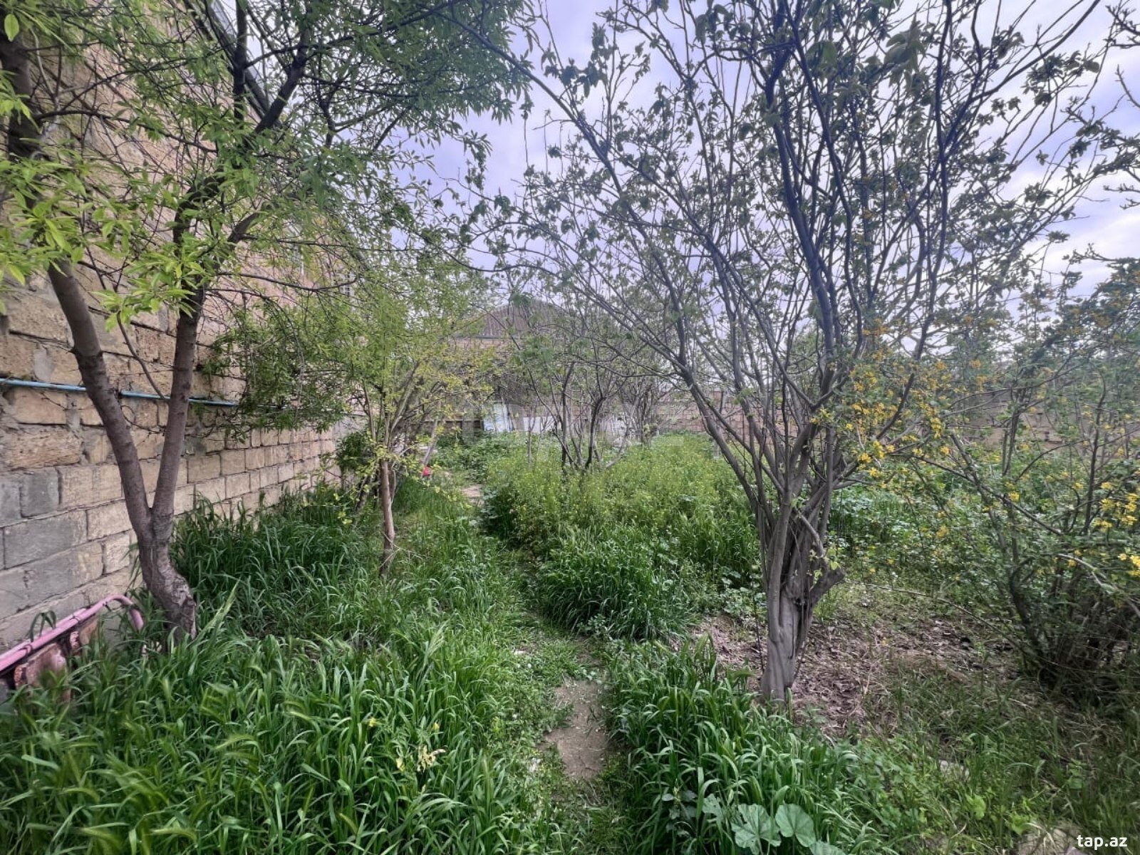 Həyət evi, Digah qəs. (2)