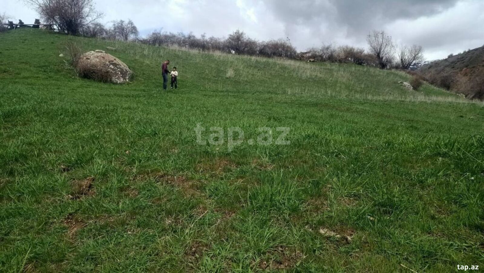 29 sot torpaq sahəsi, Şahbuz r. (6)