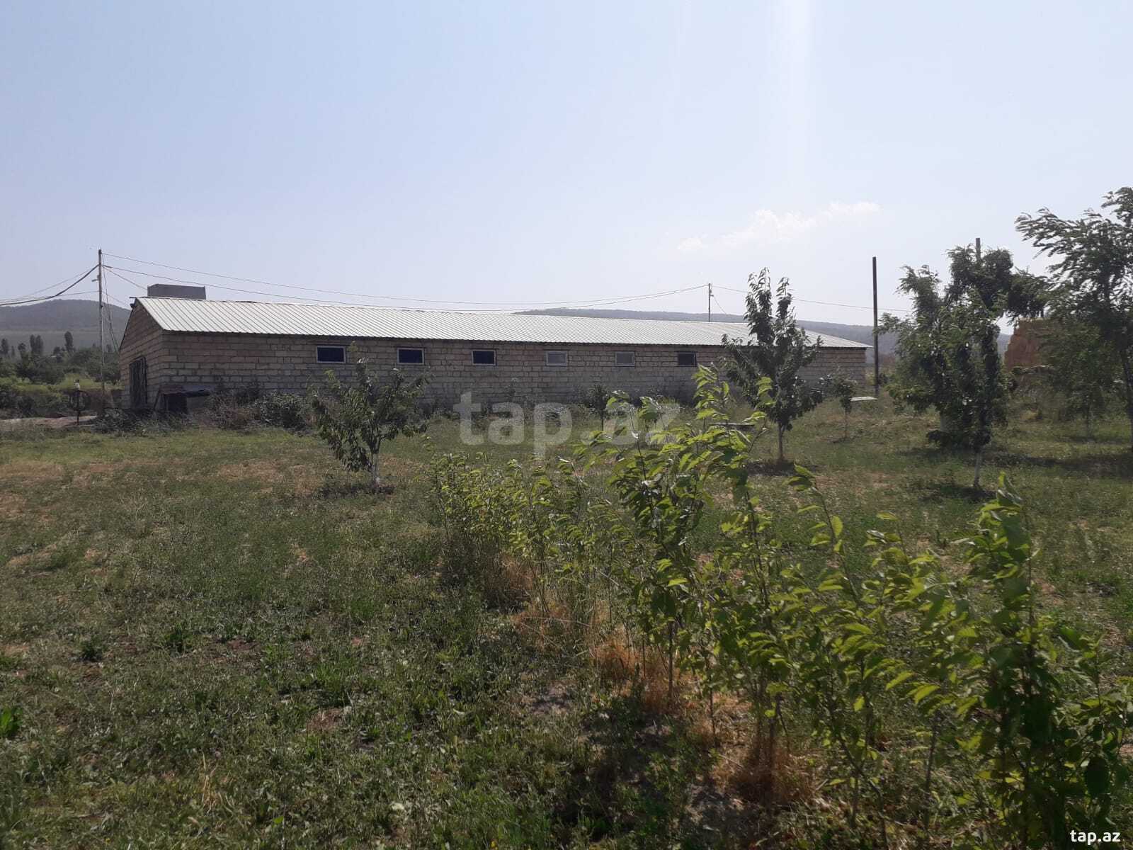 Obyekt, Quba r. (13)
