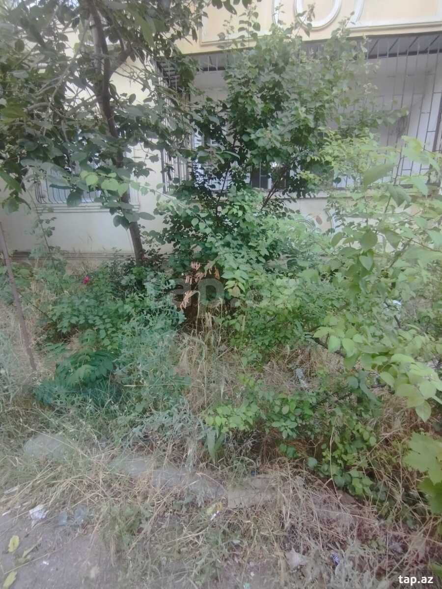 3-otaqlı yeni tikili, Əsəd Əhmədov küç.26, 105 m² (16)
