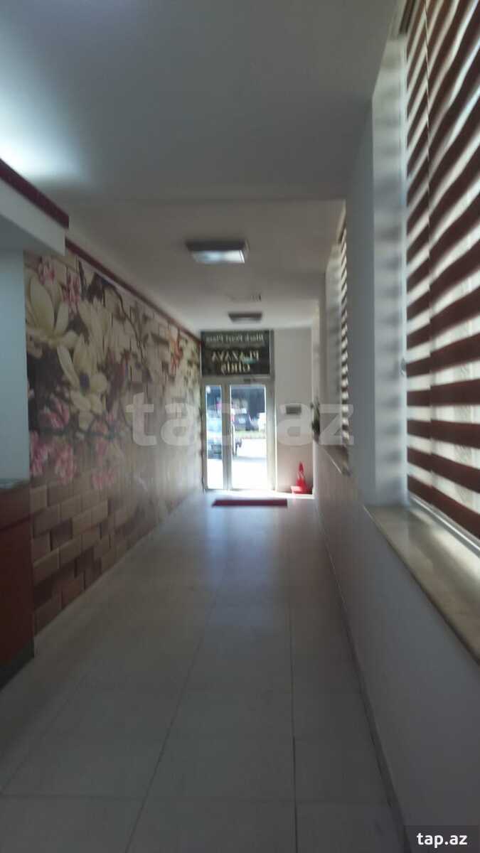 Ofis icarəyə verilir, Ə.Rəcəbli küç.