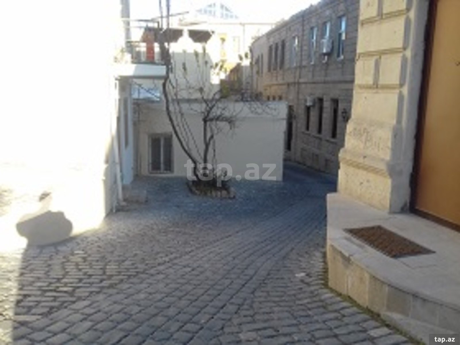 Ofis icarəyə verilir, Telman Bağırov küç. 25