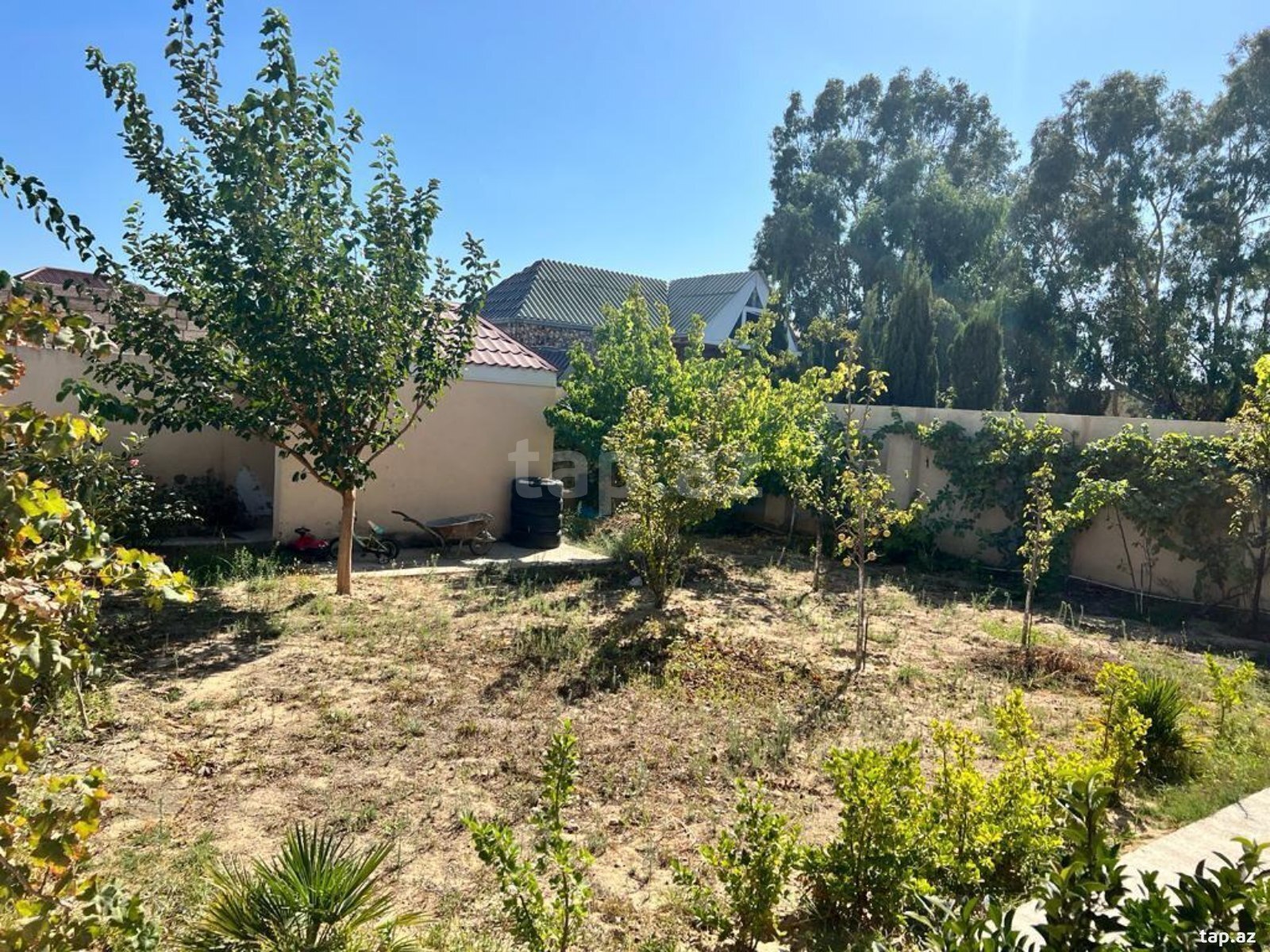 Bağ evi kirayə verilir, Mərdəkan qəs. (3)