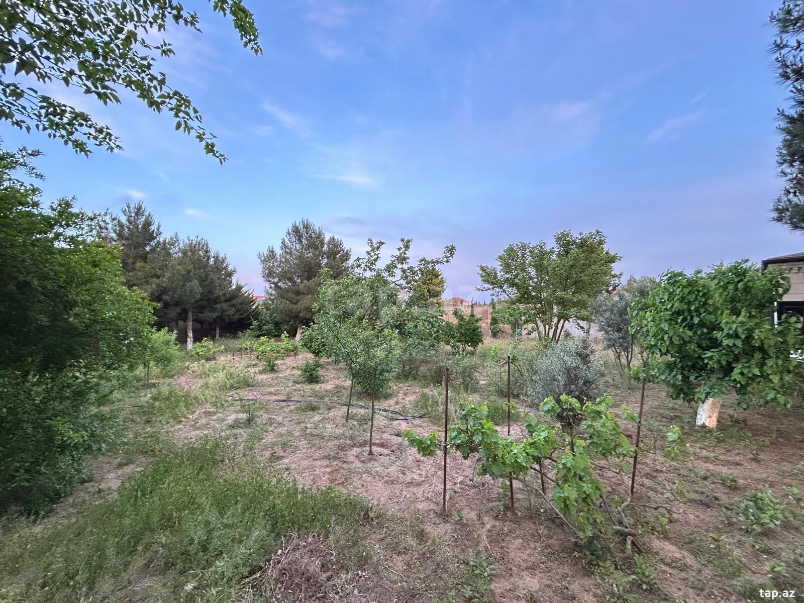 Bağ evi, Mərdəkan qəs. (10)