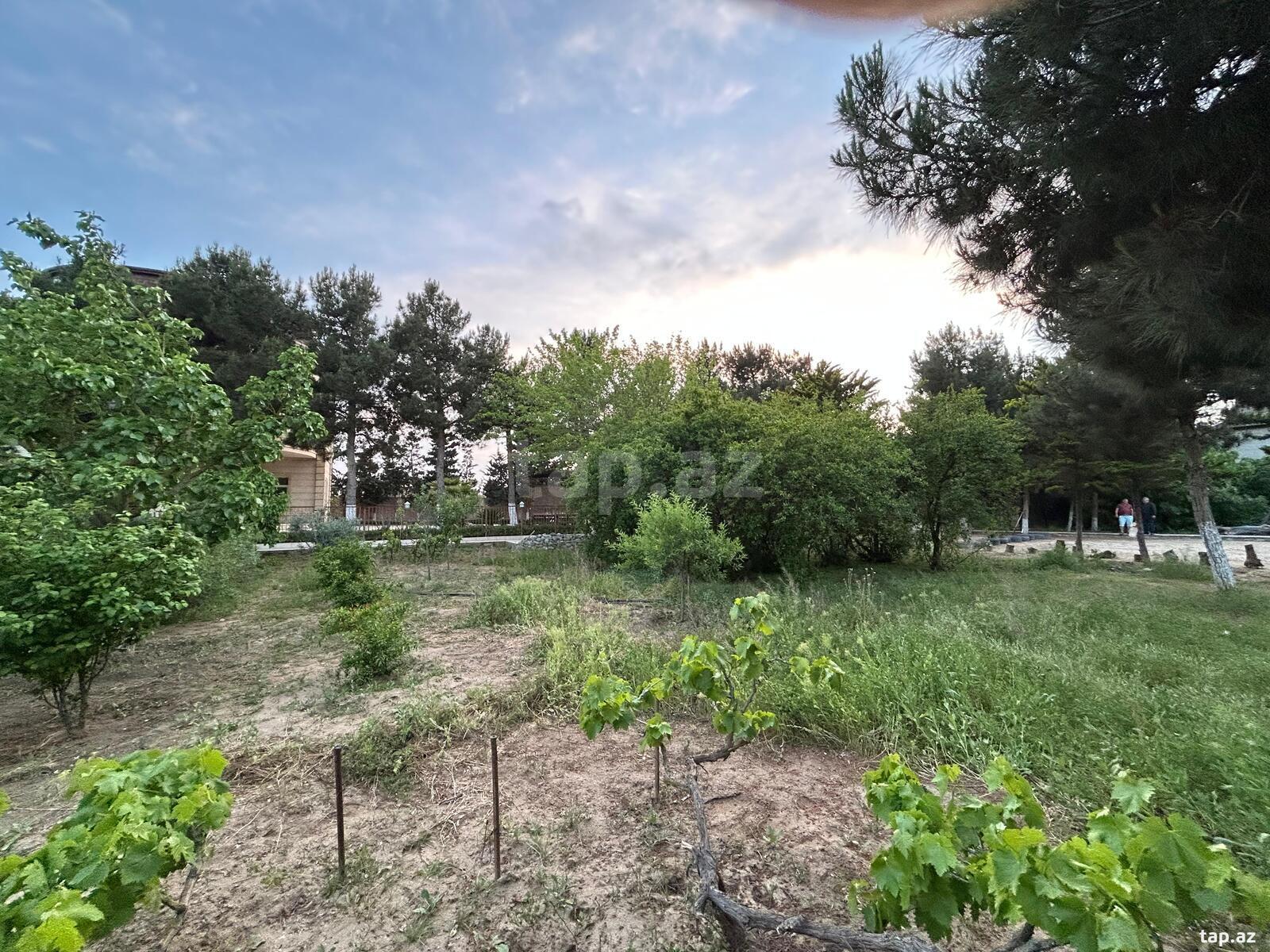 Bağ evi, Mərdəkan qəs. (16)