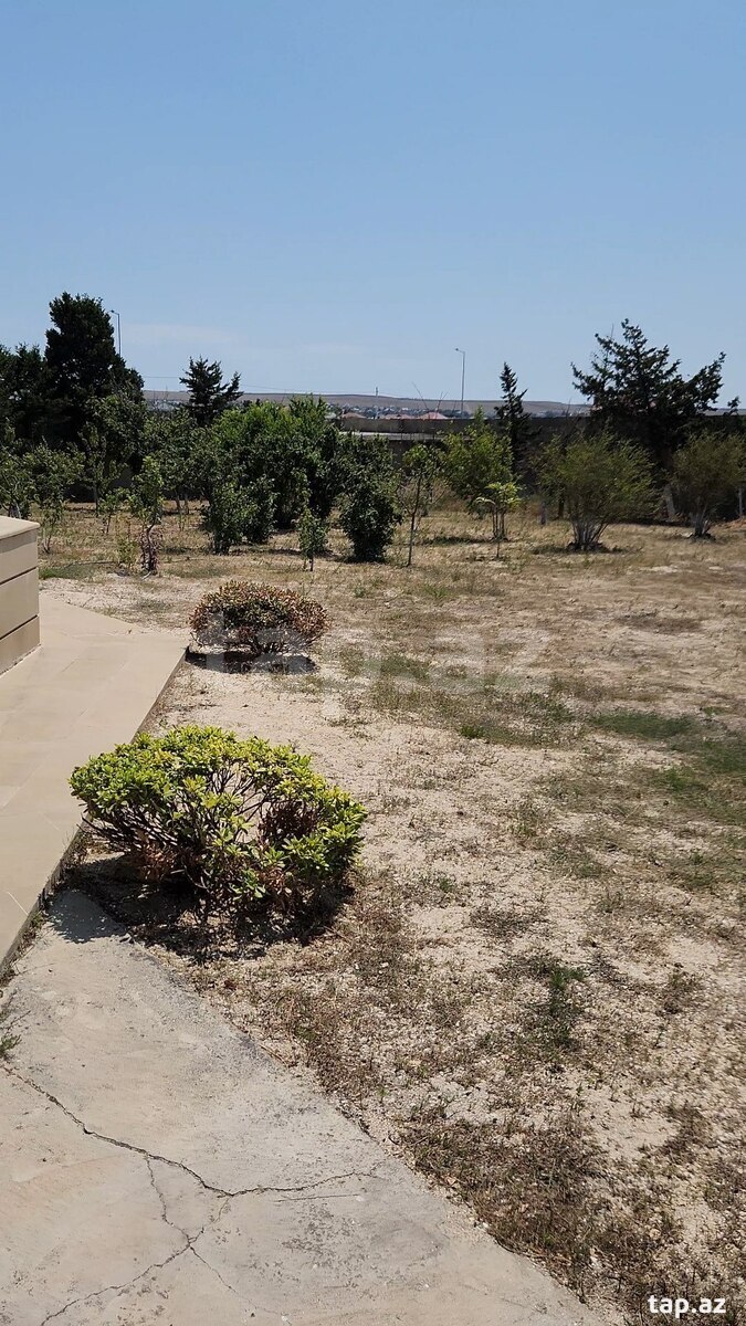 Bağ evi kirayə verilir, Fatmayı qəs. (2)