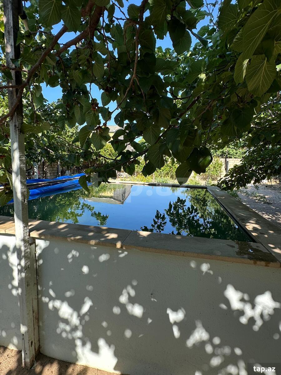 Bağ evi kirayə verilir, Novxanı qəs. (5)