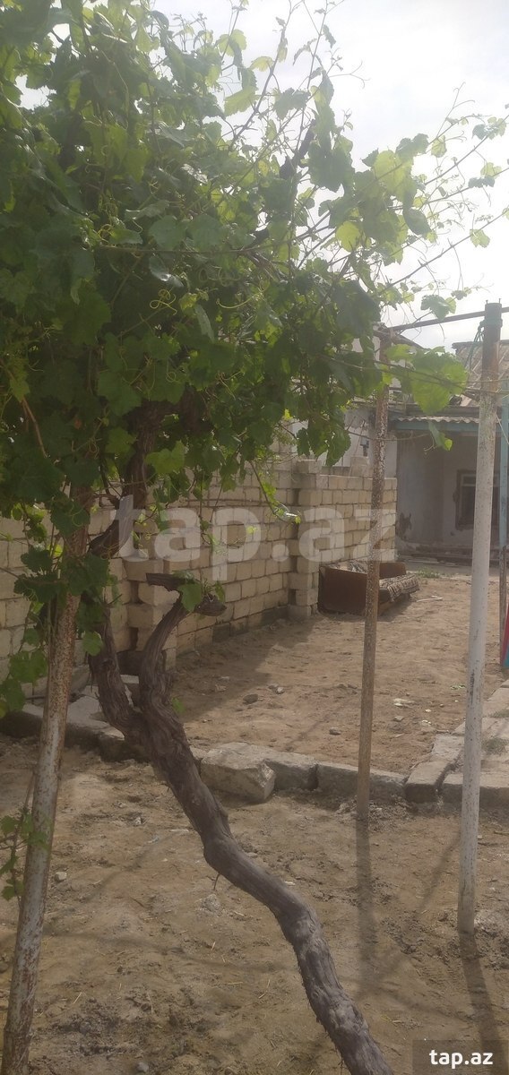 Həyət evi, Sumqayıt ş. (3)