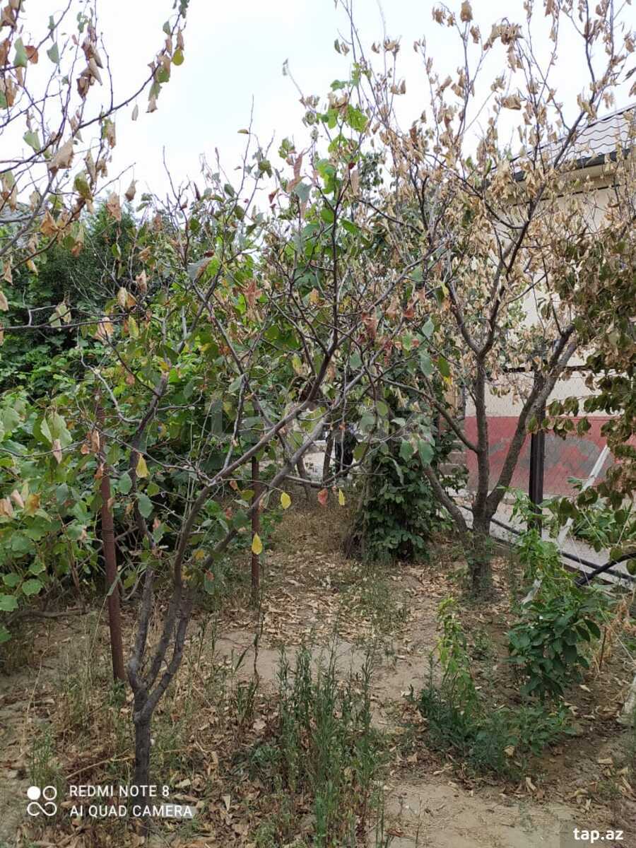 Həyət evi kirayə verilir, Mehdiabad qəs. (7)