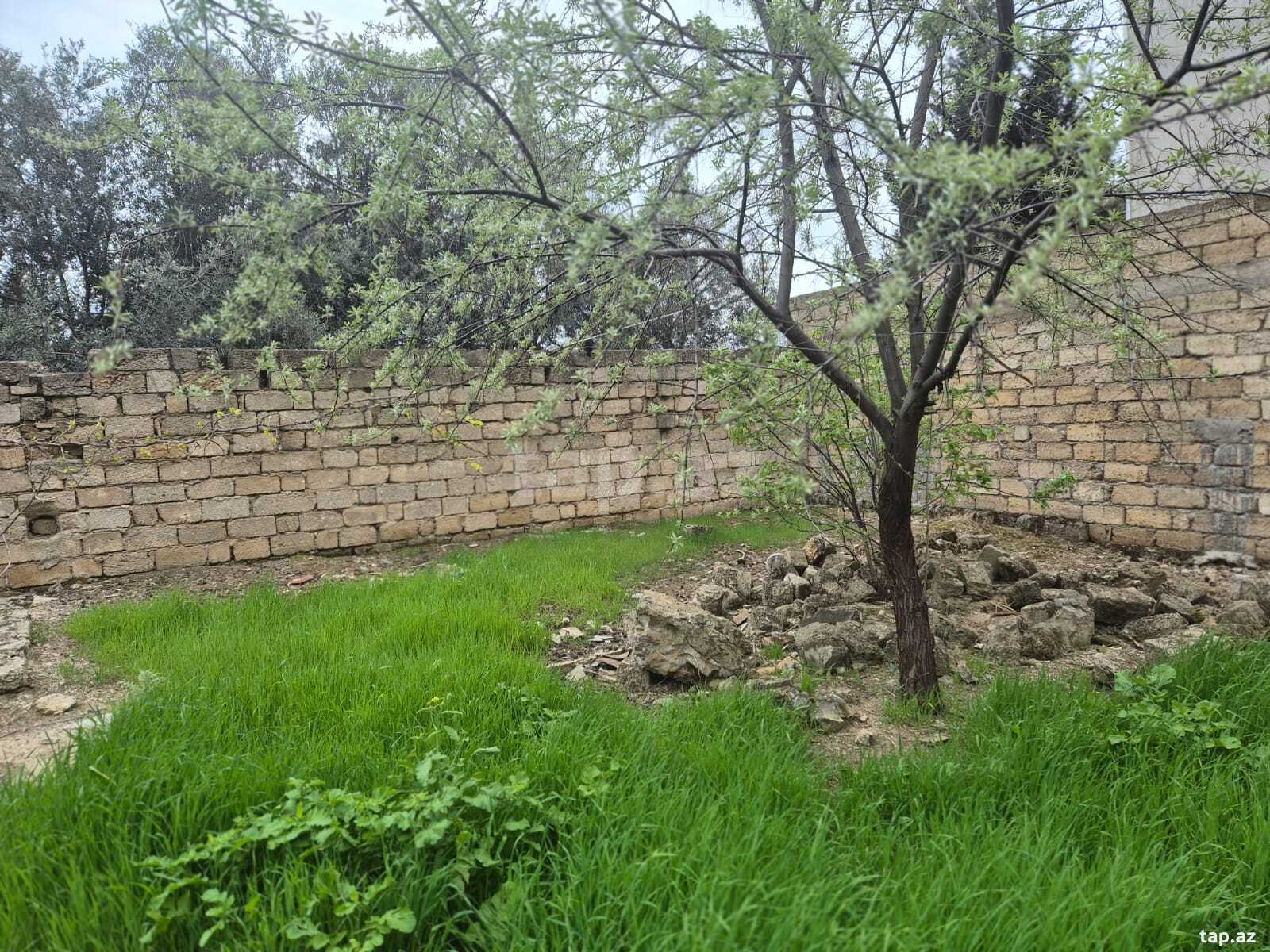 5 sot torpaq sahəsi, Yeni Ramana qəs. (4)