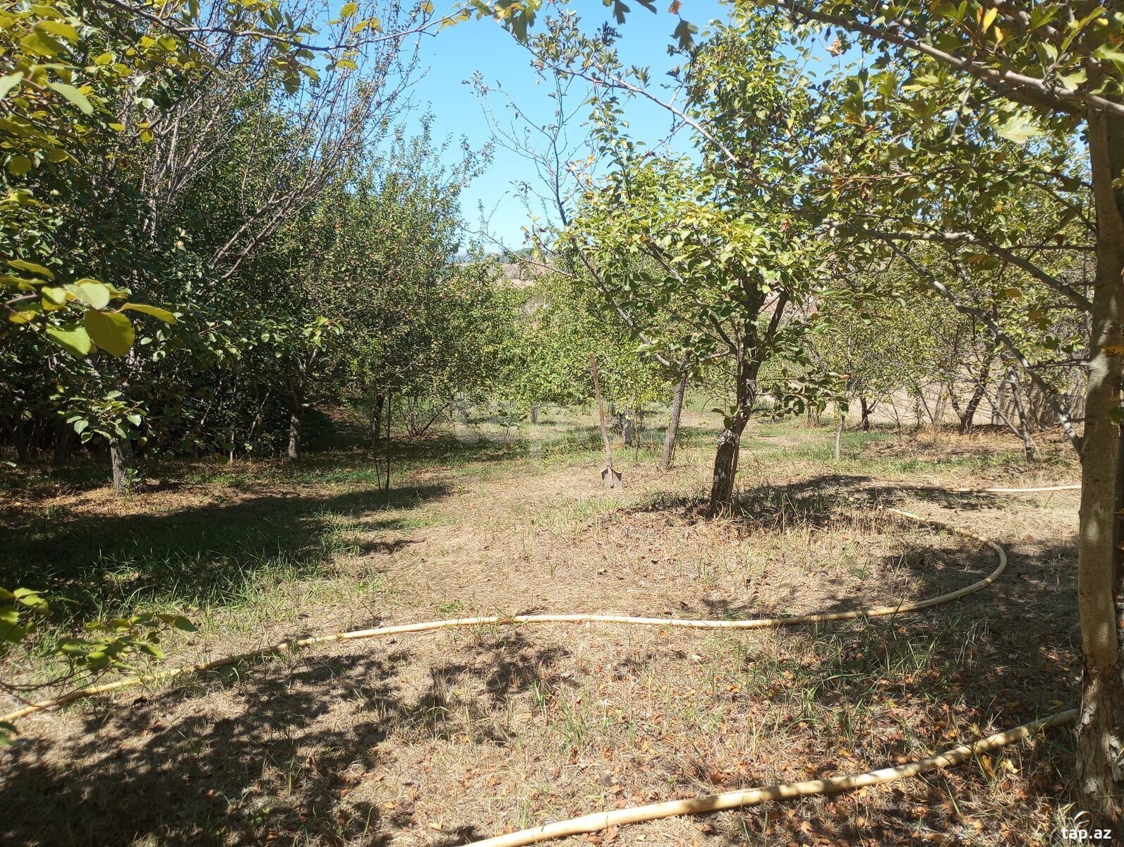 Həyət evi, Şamax ş. (7)