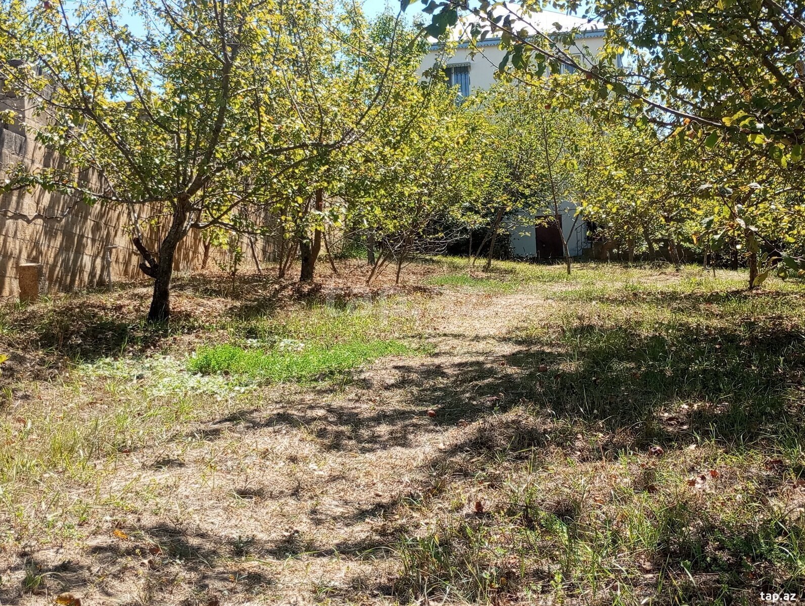 Həyət evi, Şamax ş. (5)