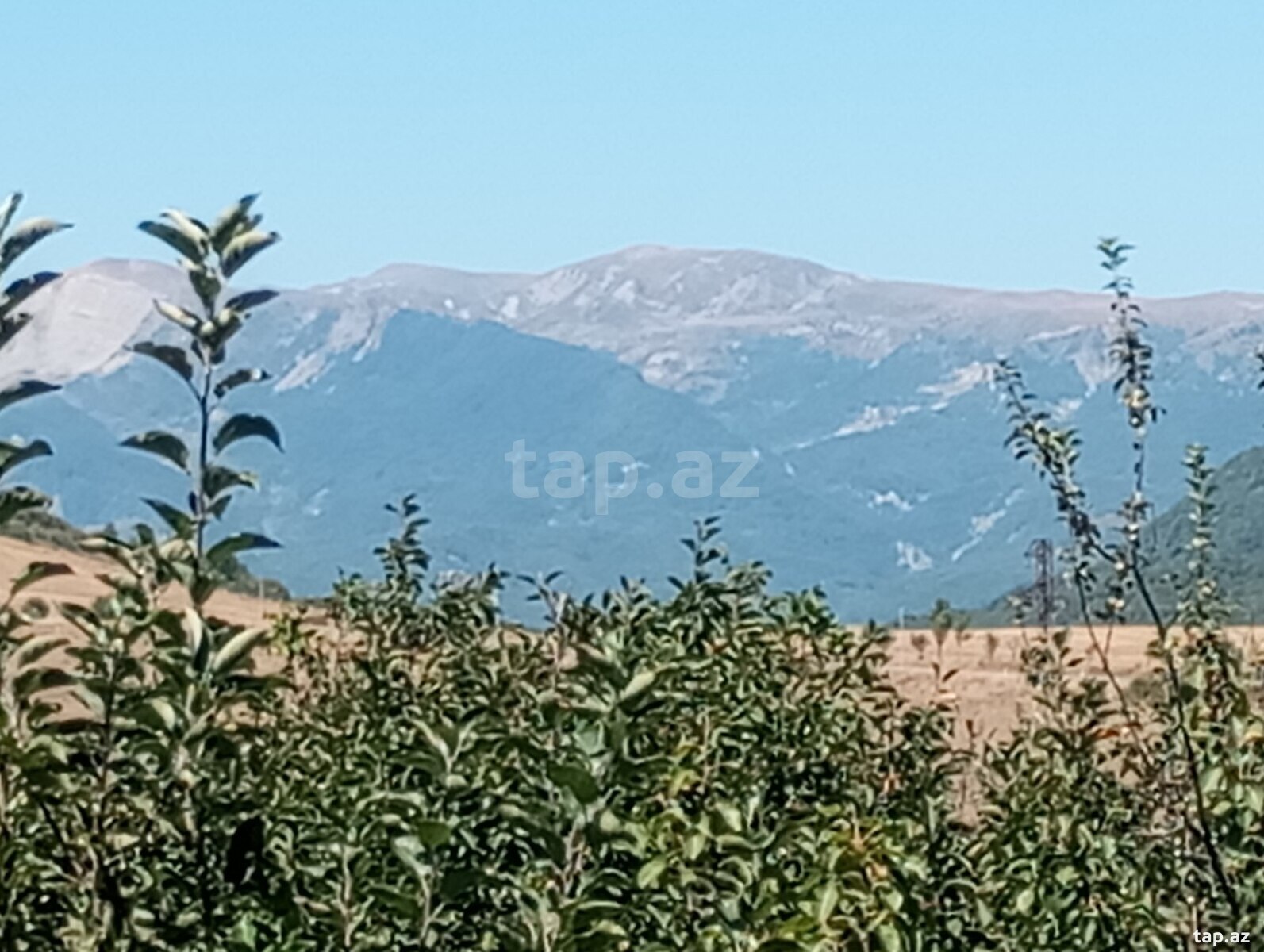 Həyət evi, Şamax ş. (9)