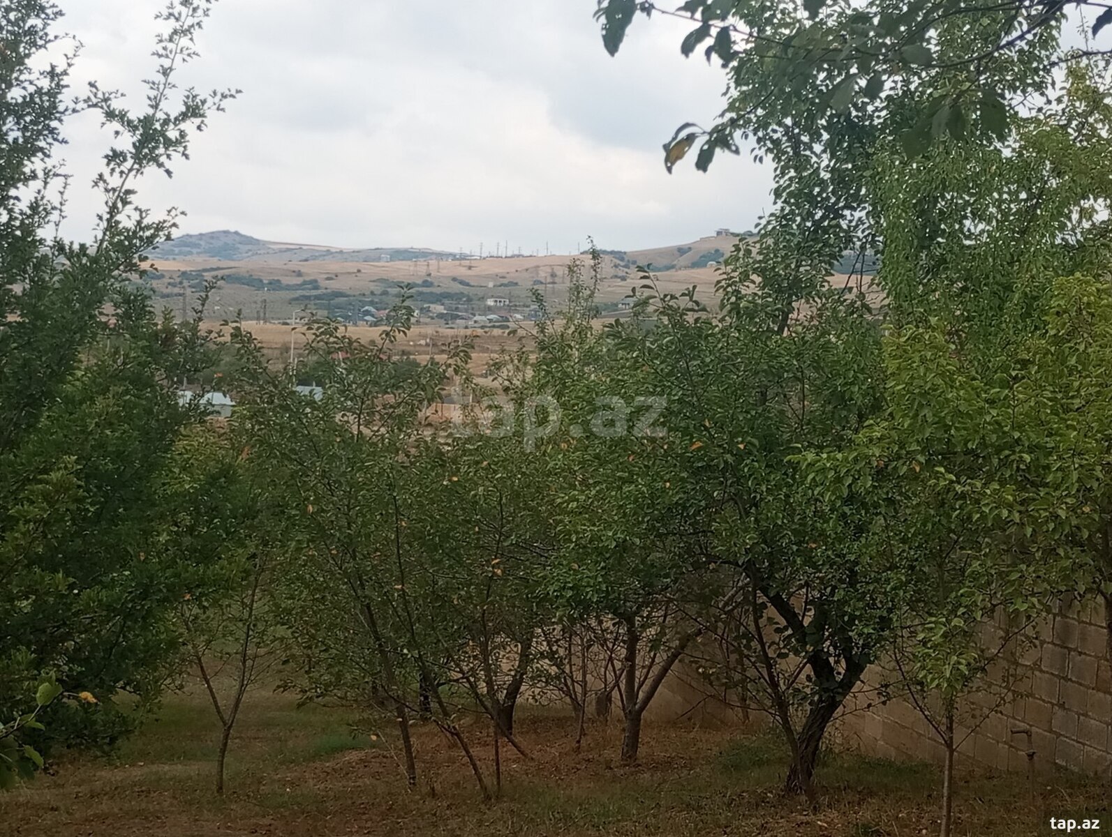Həyət evi, Şamax ş. (25)