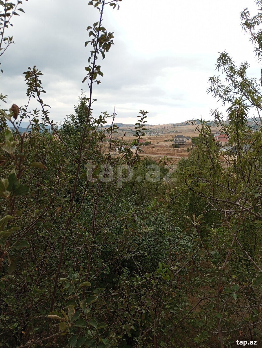 Həyət evi, Şamax ş. (30)
