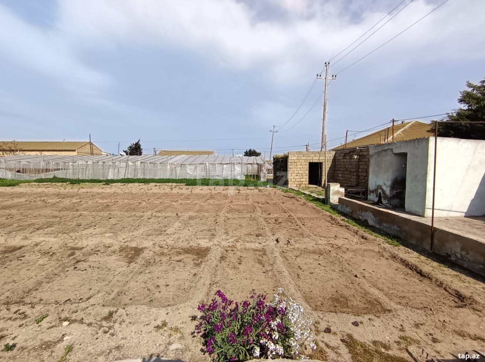 Həyət evi, Türkan qəs. (12)