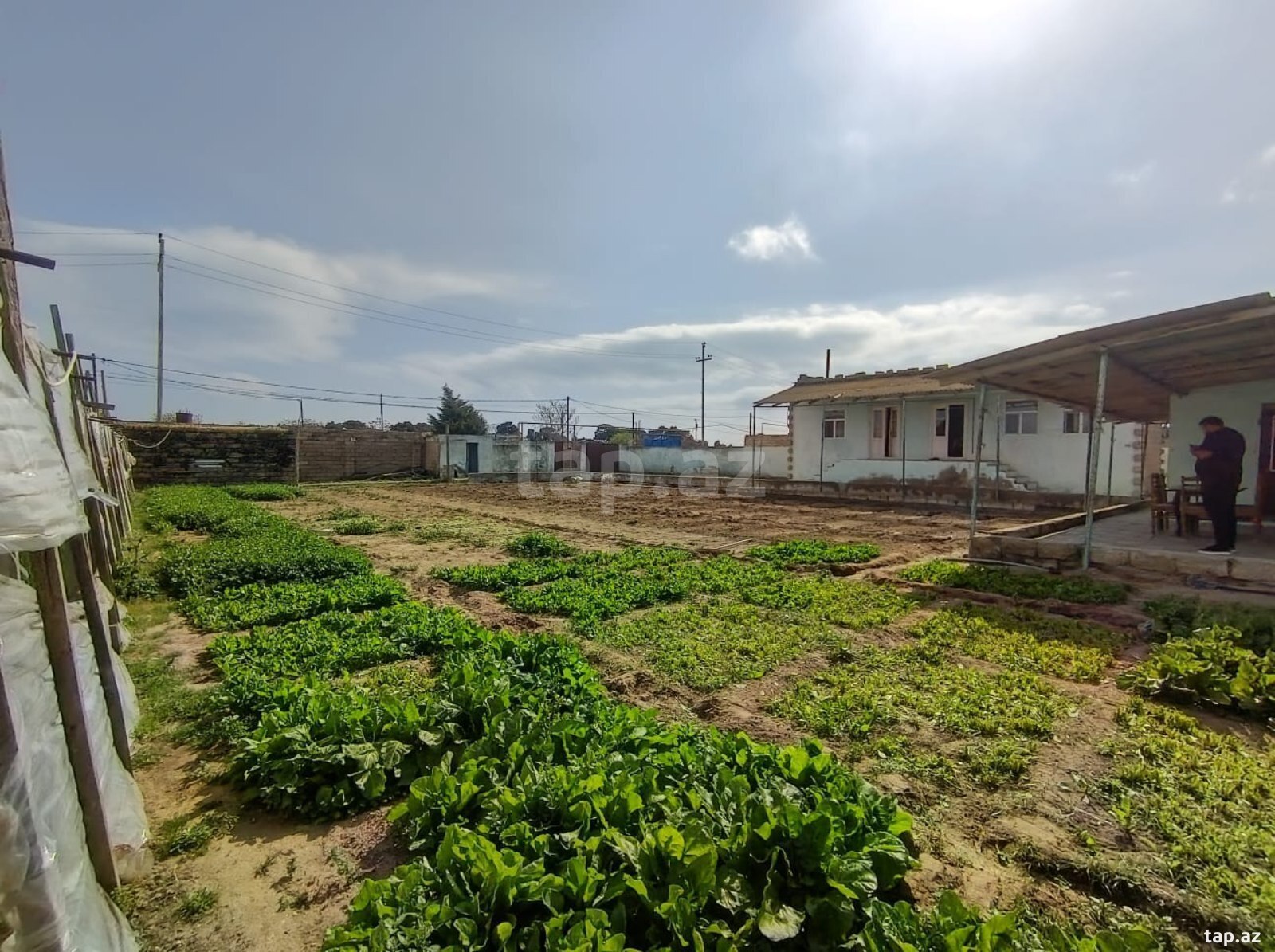 Həyət evi, Türkan qəs. (10)