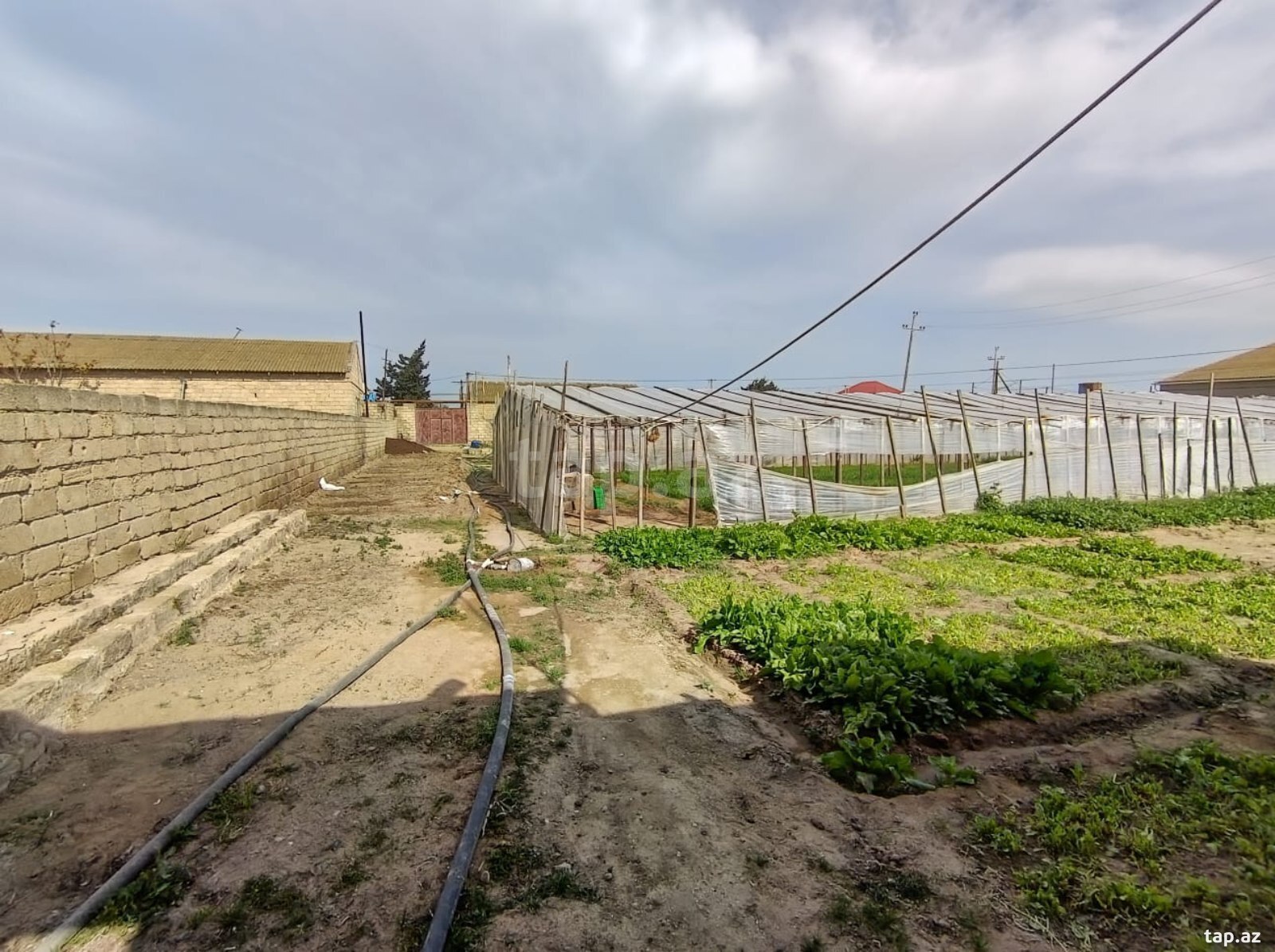 Həyət evi, Türkan qəs. (14)