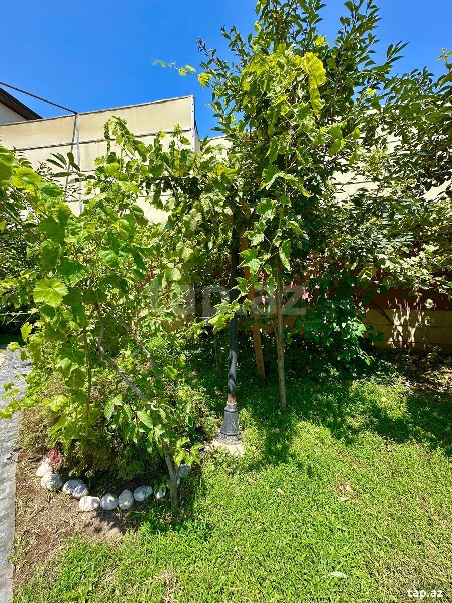 Bağ evi kirayə verilir, Mərdəkan qəs. (8)