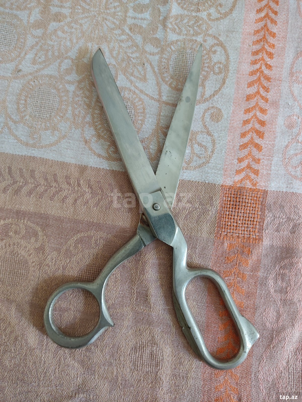 Dərzi qayçısı (2)