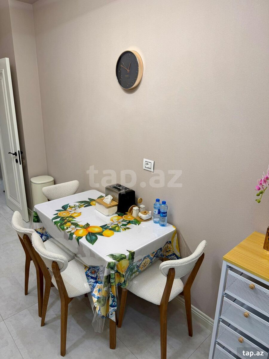 2-otaqlı yeni tikili kirayə verilir, E.Akademiyası m., 90 m² (9)