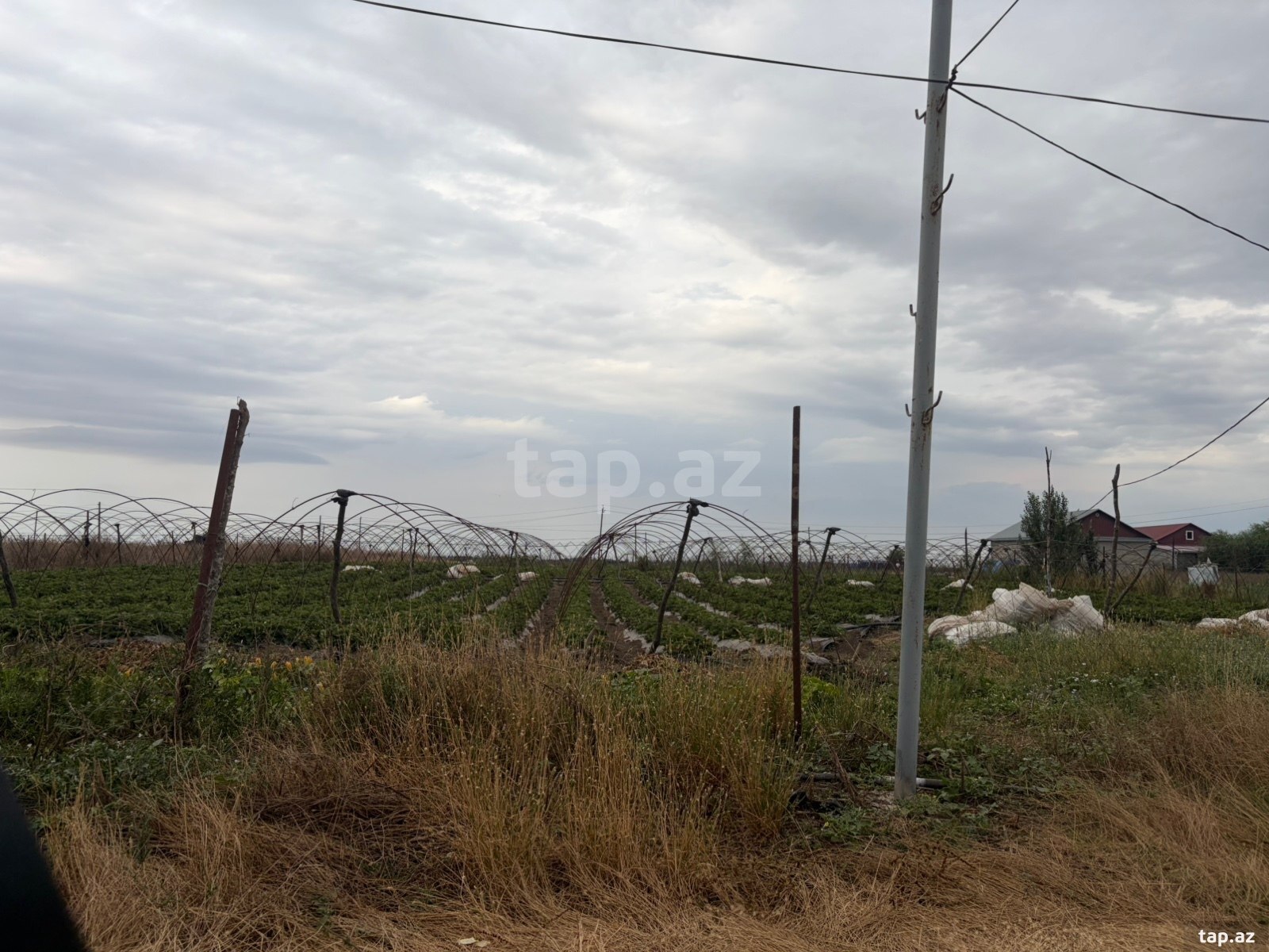 20 sot torpaq sahəsi, Cəlilabad ş. (2)