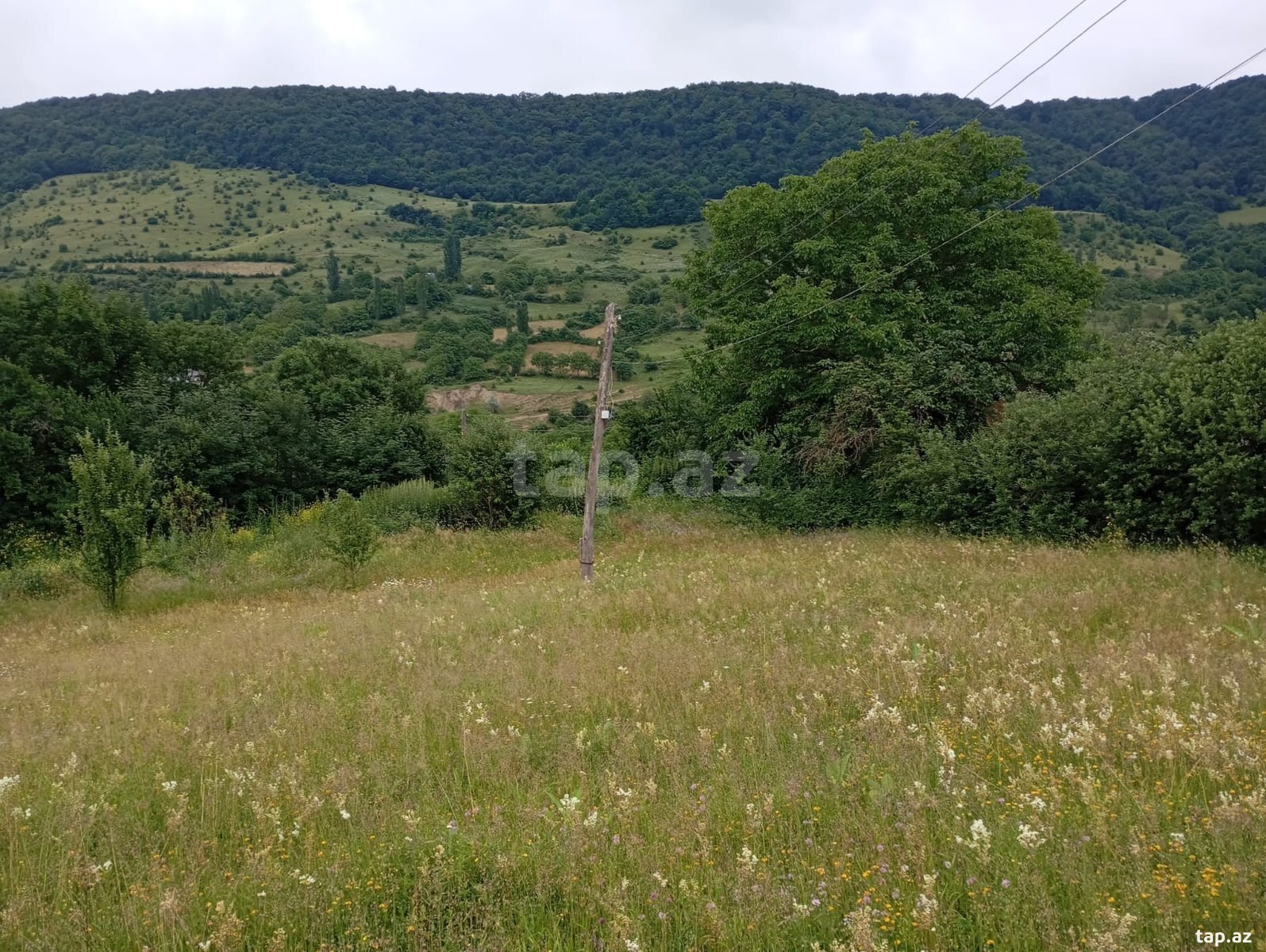 42 sot torpaq sahəsi, Qusar r. (6)