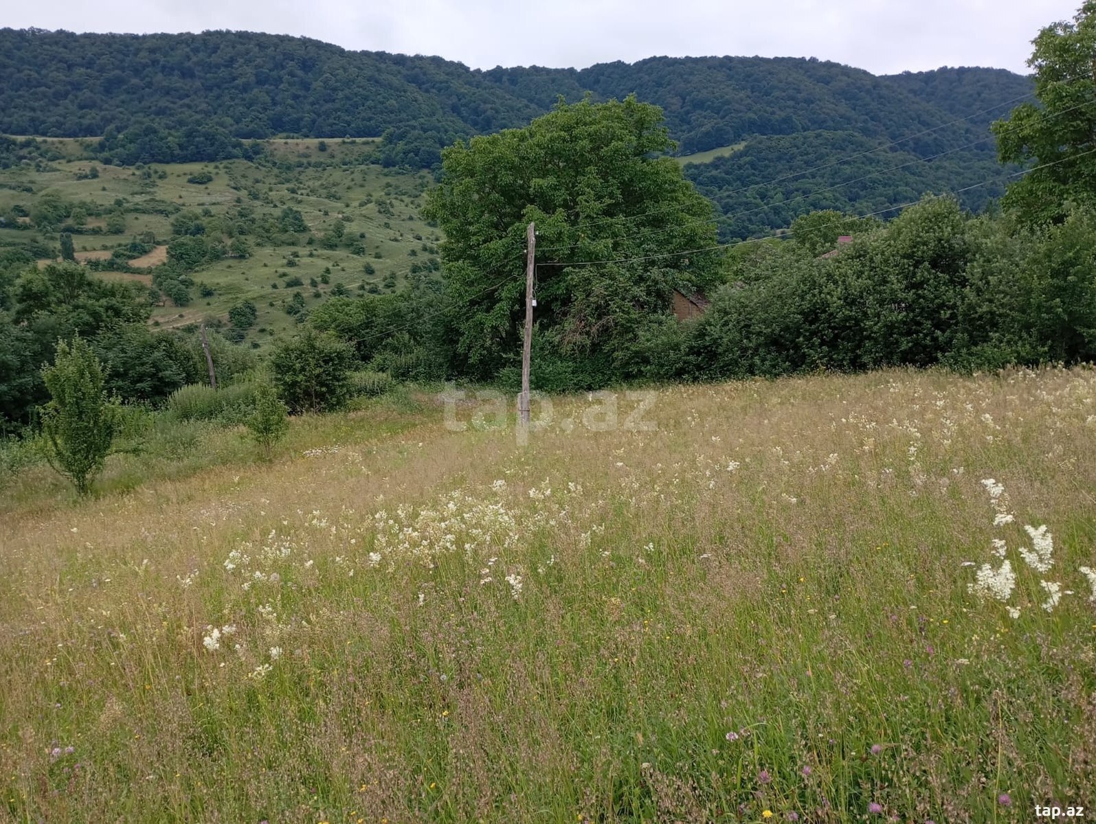 42 sot torpaq sahəsi, Qusar r. (5)