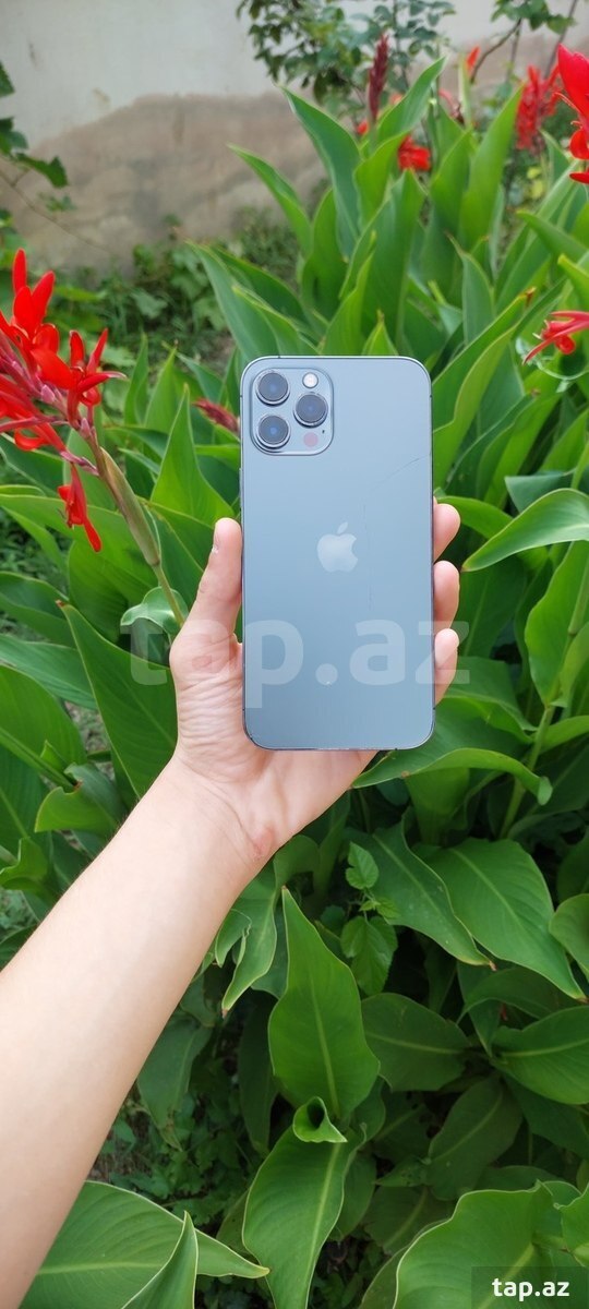 Apple iPhone 12 Pro Max Pacific Blue 128GB/6GB (2)