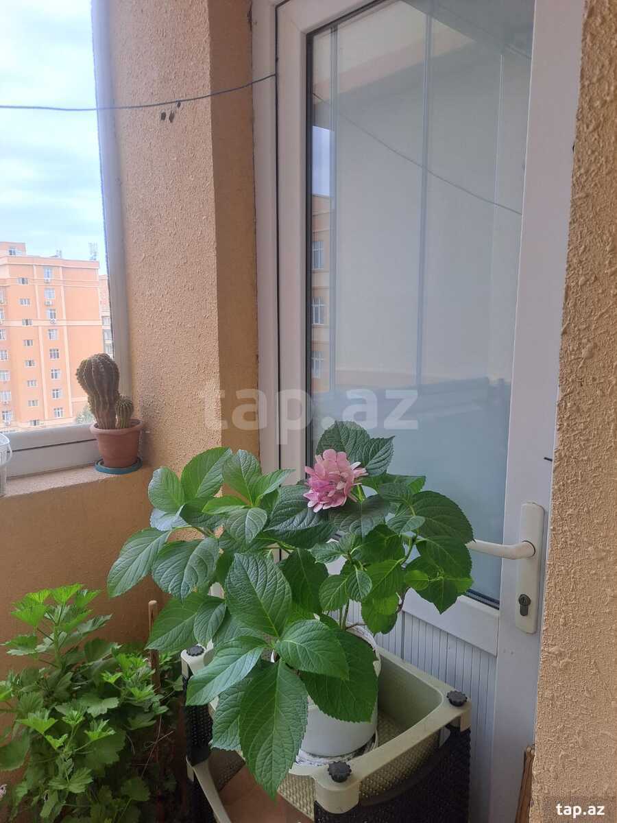 3-otaqlı yeni tikili, Abşeron r., Masazır qəs., 90 m² (13)