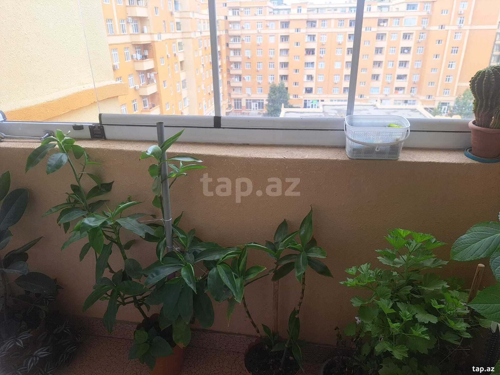 3-otaqlı yeni tikili, Abşeron r., Masazır qəs., 90 m² (15)