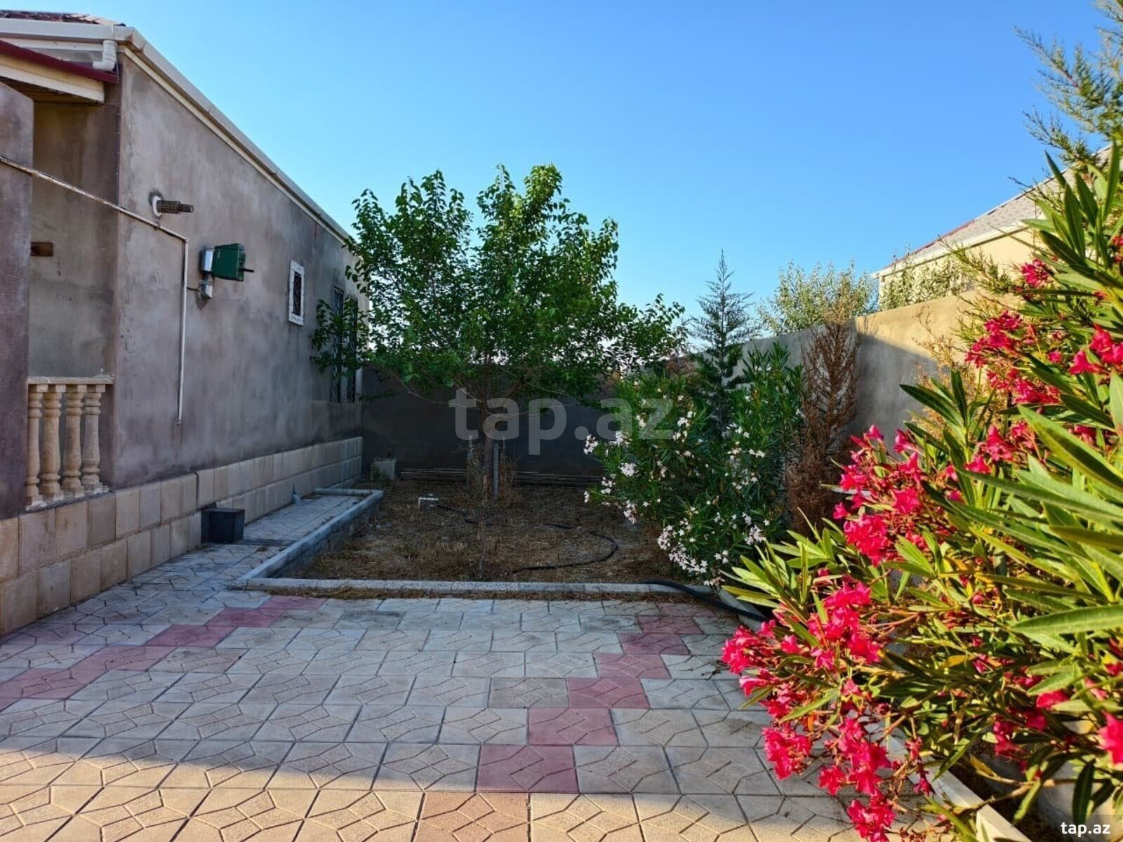 Bağ evi kirayə verilir, Türkan qəs. (5)