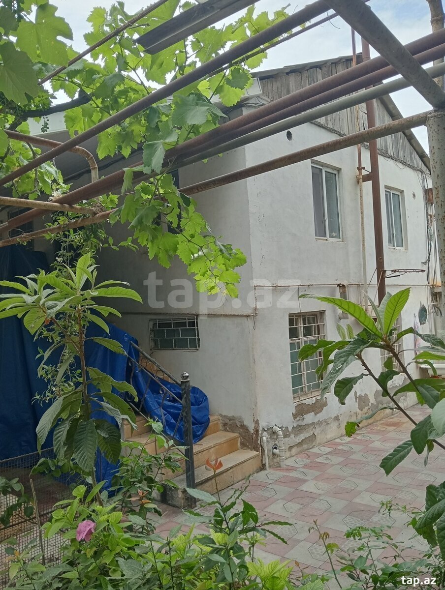 29 sot torpaq sahəsi, Novxanı qəs.