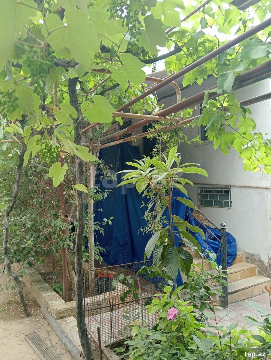 29 sot torpaq sahəsi, Novxanı qəs. (2)