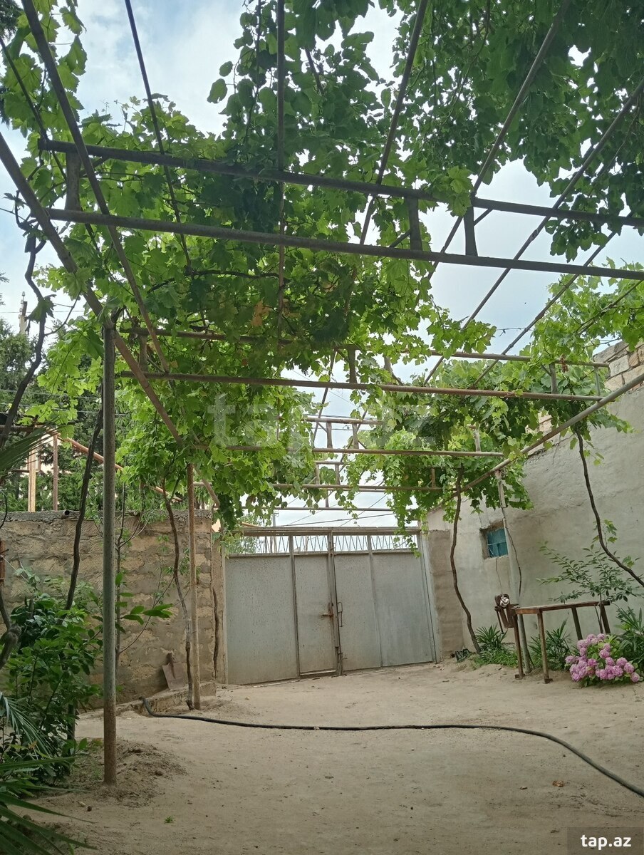 29 sot torpaq sahəsi, Novxanı qəs. (4)