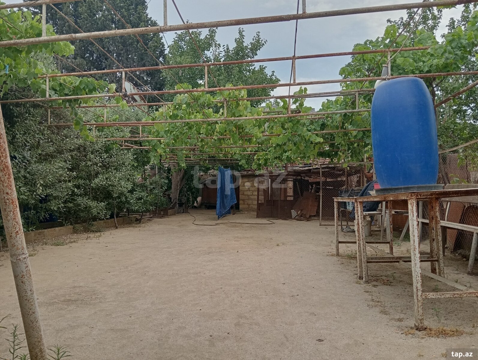 29 sot torpaq sahəsi, Novxanı qəs. (6)
