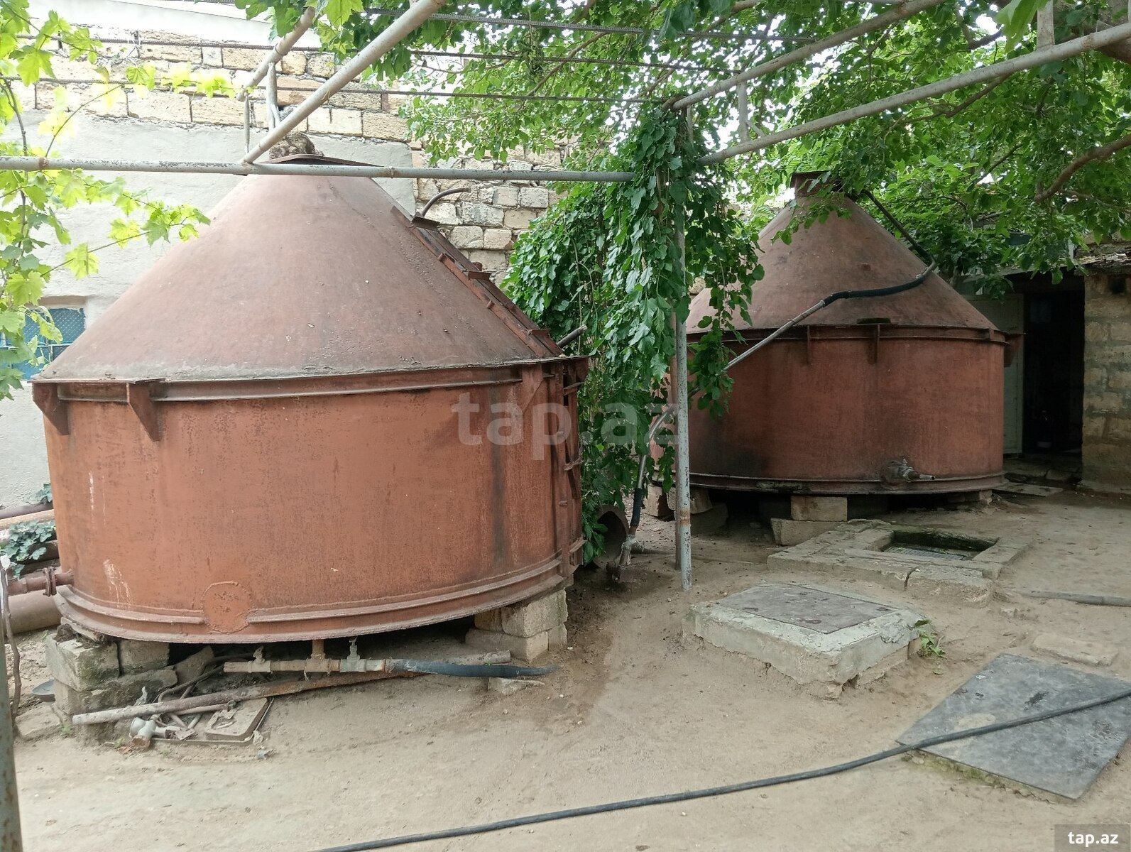 29 sot torpaq sahəsi, Novxanı qəs. (5)