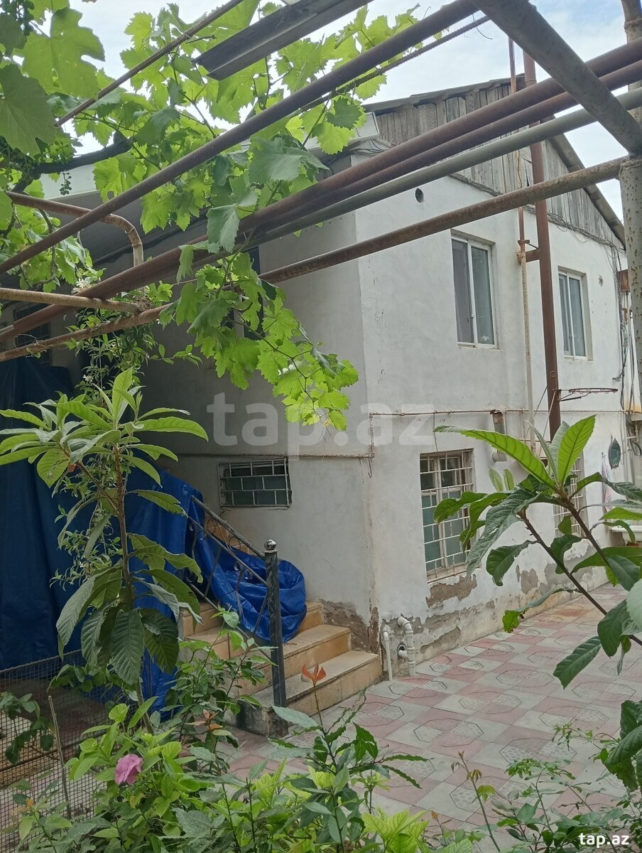 29 sot torpaq sahəsi, Novxanı qəs. (3)