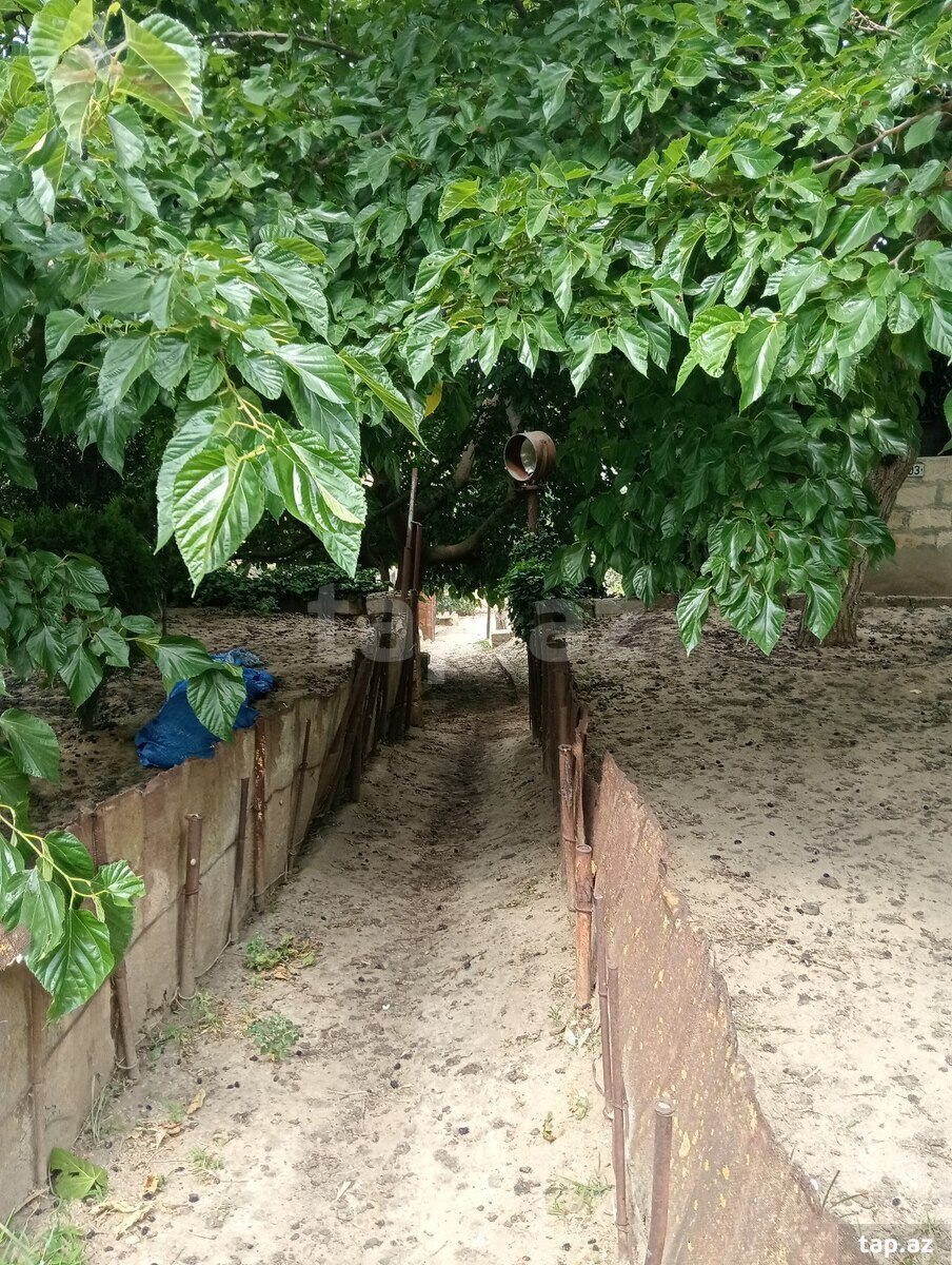 29 sot torpaq sahəsi, Novxanı qəs. (14)