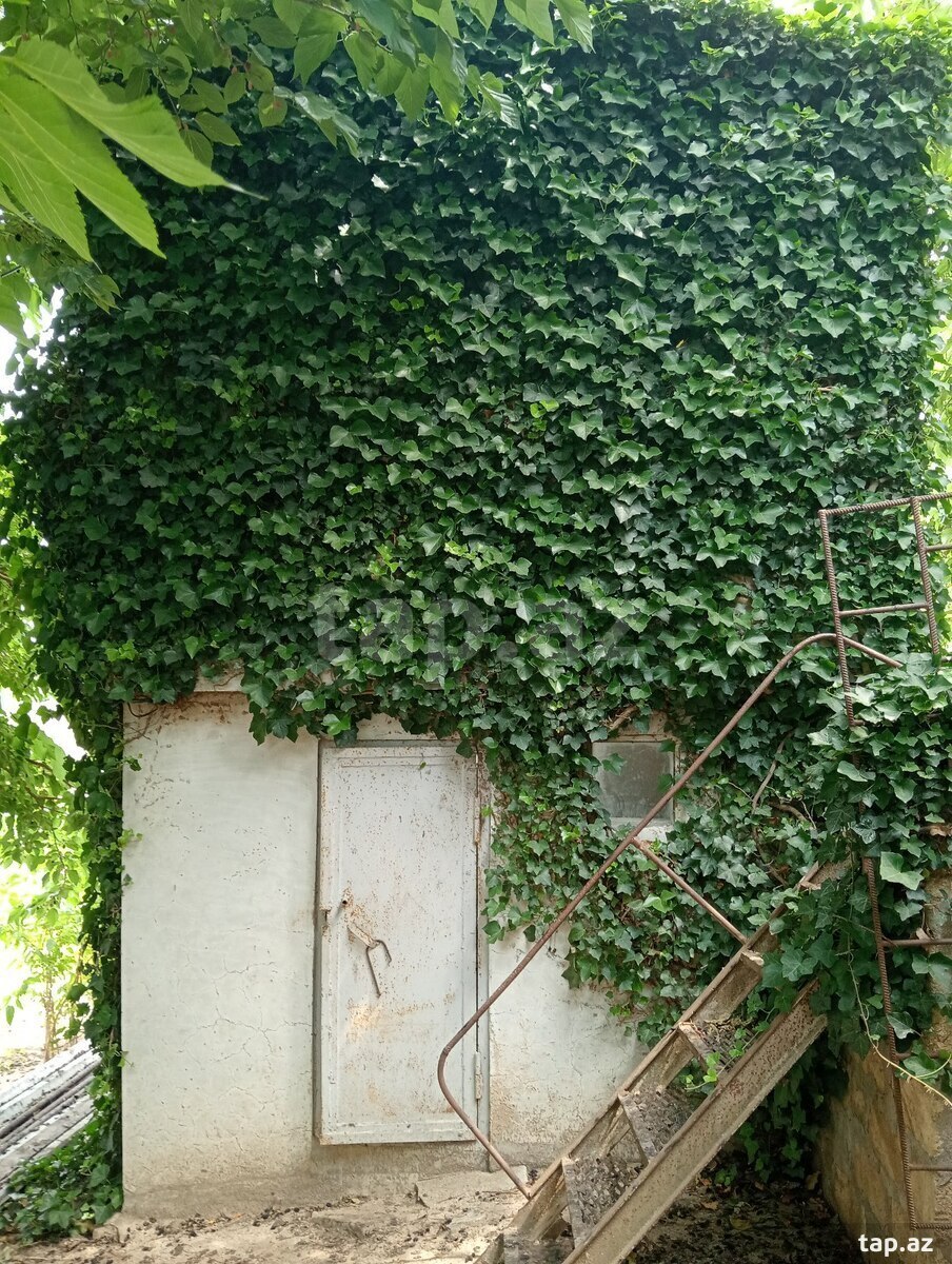 29 sot torpaq sahəsi, Novxanı qəs. (13)