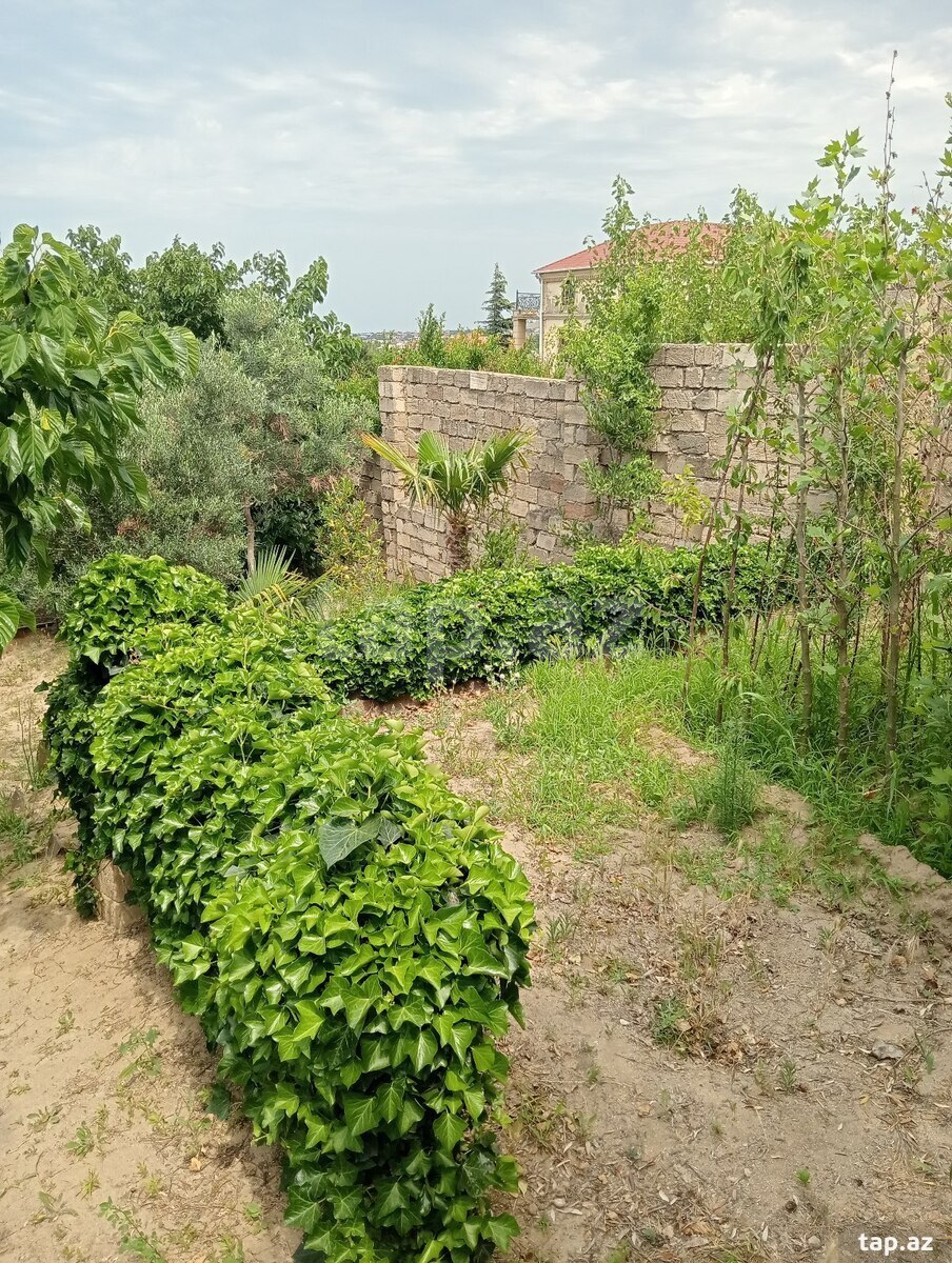 29 sot torpaq sahəsi, Novxanı qəs. (26)