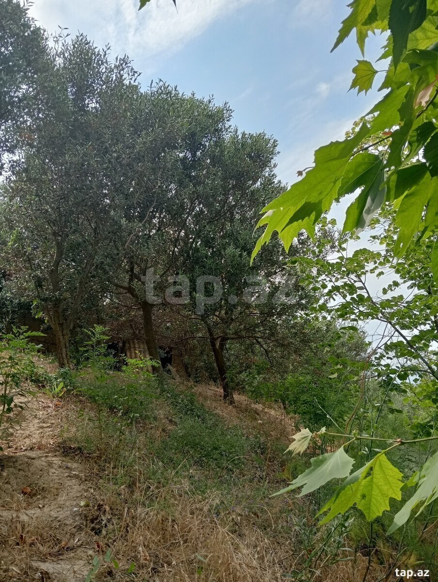 29 sot torpaq sahəsi, Novxanı qəs. (28)