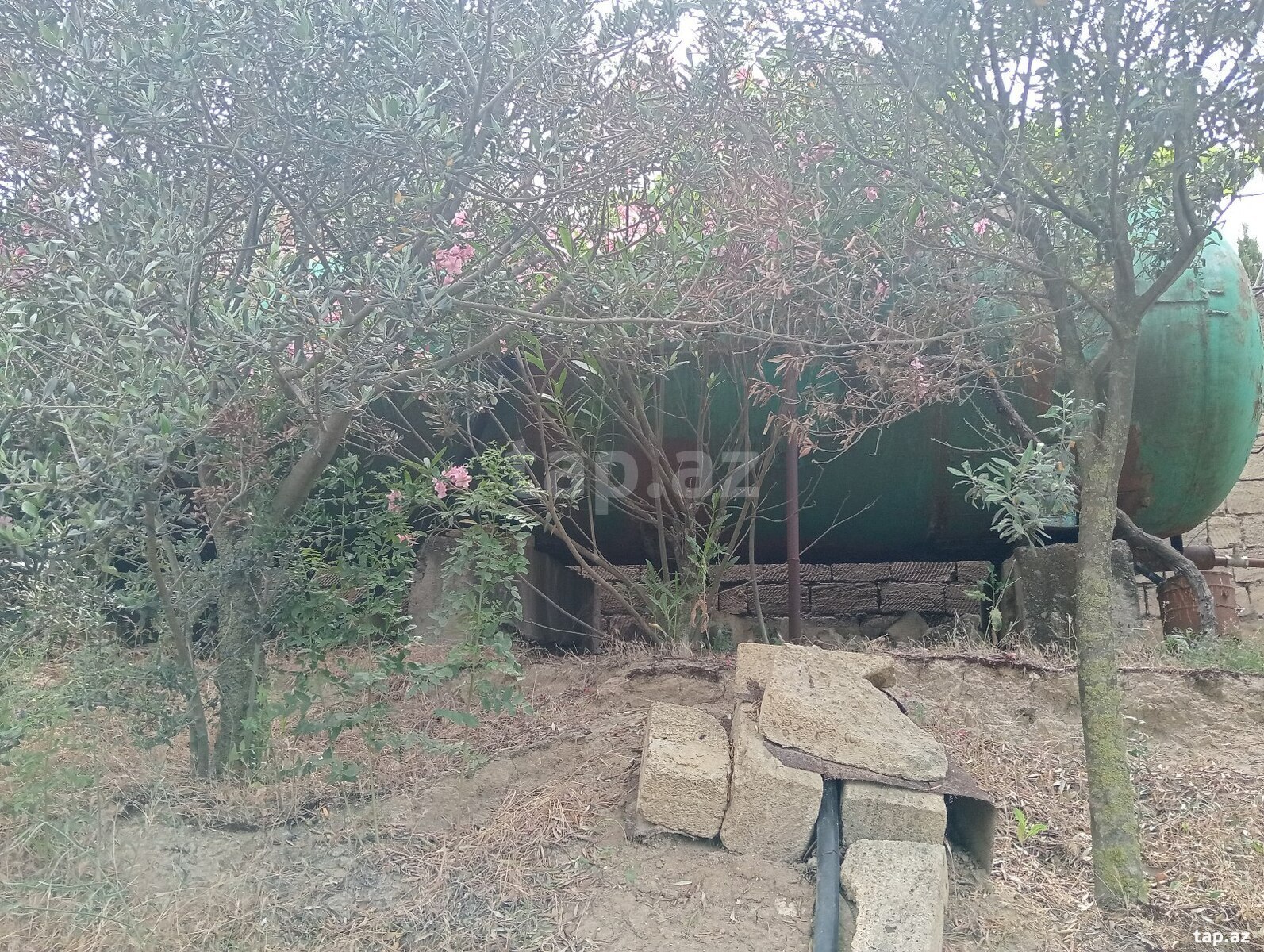 29 sot torpaq sahəsi, Novxanı qəs. (30)