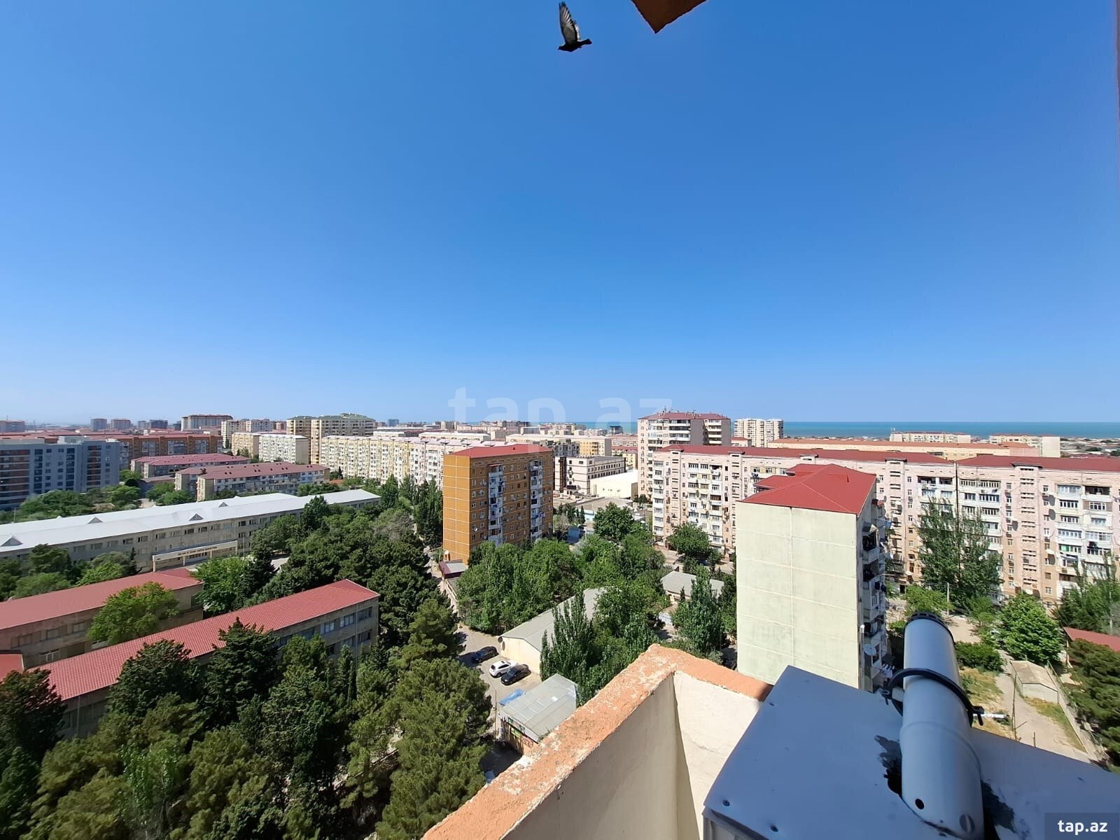 3-otaqlı yeni tikili kirayə verilir, 10-cu mkr., 73 m² (9)