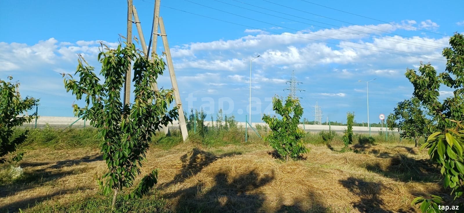 66 sot torpaq sahəsi, Quba-Xaçmaz yolu (7)