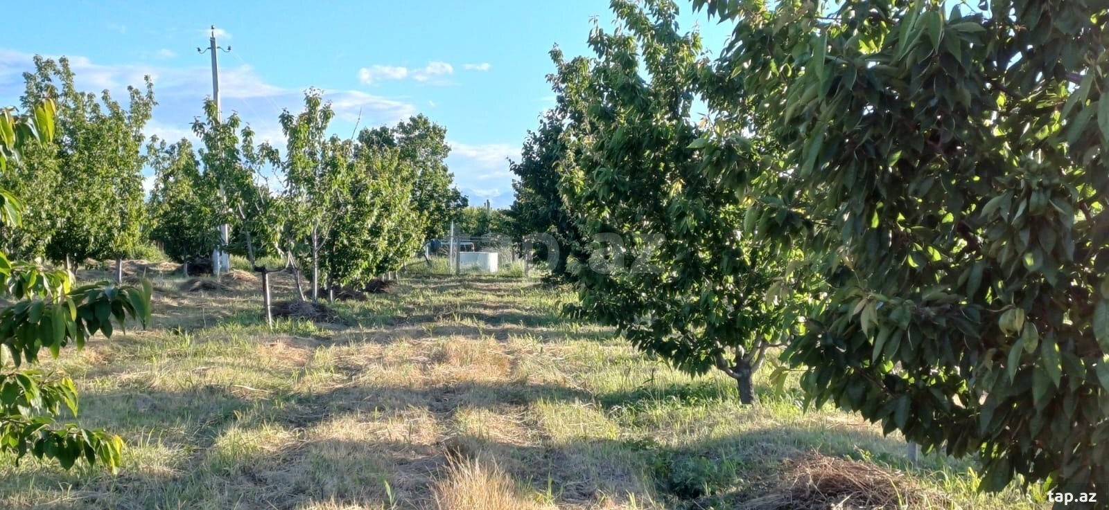 66 sot torpaq sahəsi, Quba-Xaçmaz yolu (10)