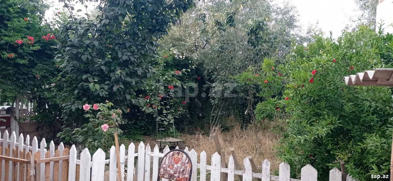 Həyət evi, Sabunçu r.