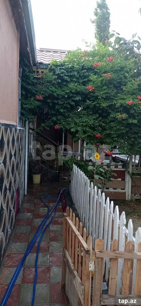 Həyət evi, Sabunçu r. (17)
