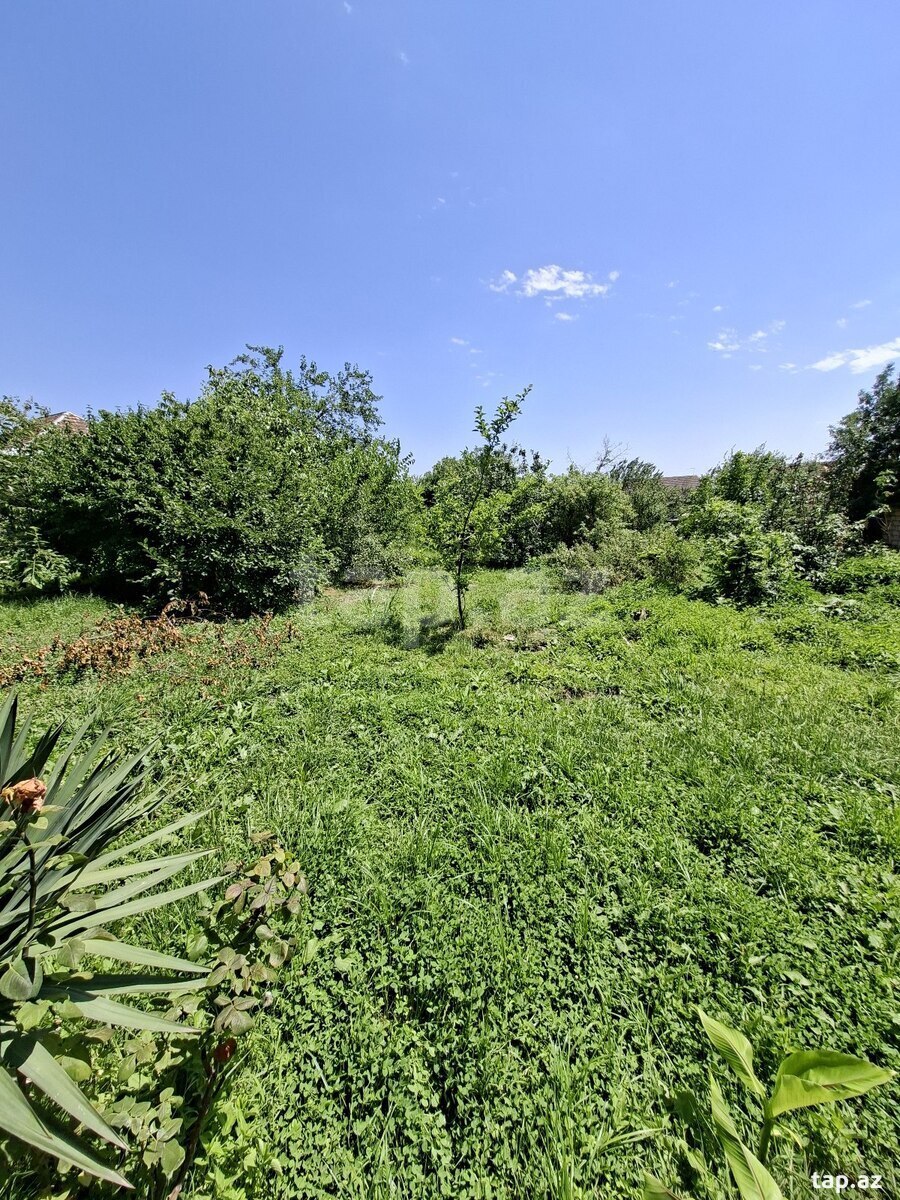 Həyət evi, Şəki ş. (5)